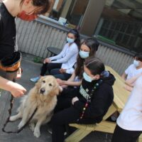 Pet-Therapy-4